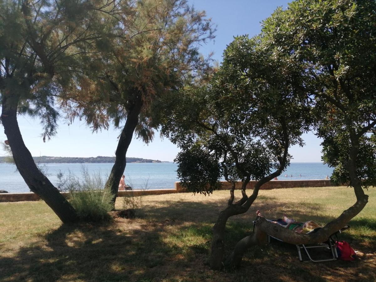 Apartment Vera, 80 M From The Sea Novigrad Istria Eksteriør bilde