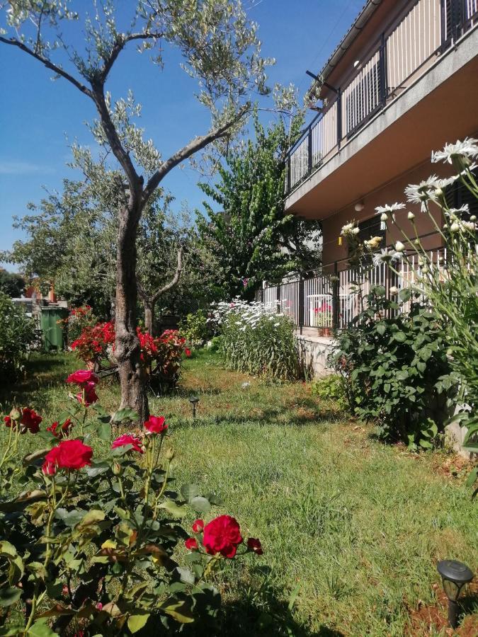Apartment Vera, 80 M From The Sea Novigrad Istria Eksteriør bilde